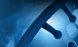 理化檢測(cè)服務(wù)